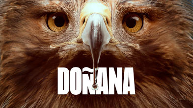 Imagen de Doñana - 2