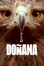 Imagen de Doñana - 1
