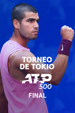 Imagen de Final: Alcaraz - Fritz - 1