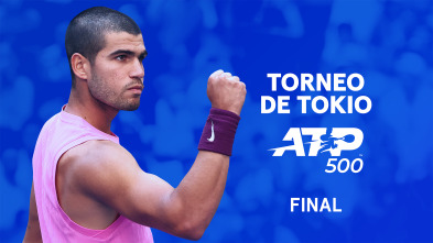 Imagen de Final: Alcaraz - Fritz - 2