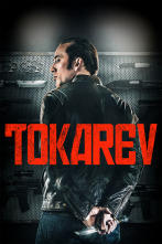 Imagen de Tokarev - 1