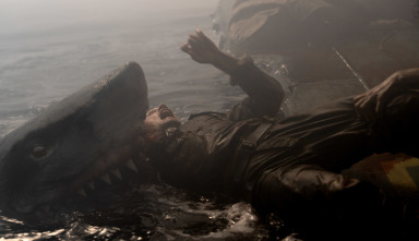 Imagen de Tiburón blanco: la bestia del mar - 13