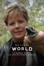 Imagen de La mamba negra: un problema letal - 1