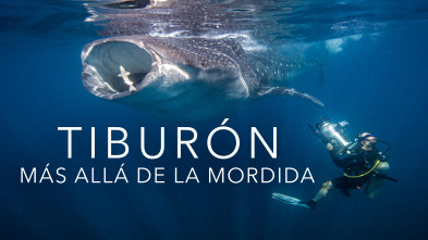 Imagen de Tiburón: más allá de la mordida - 2