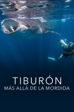 Imagen de Tiburón: más allá de la mordida - 1