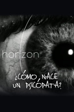 Imagen de Horizon: ¿cómo nace un psicópata? - 1