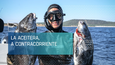 Imagen de La Aceitera, contra corriente - 2