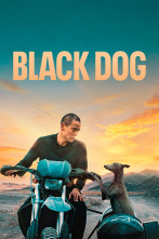 Imagen de Black Dog - 1