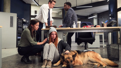 Imagen de Hudson y Rex (T2): Ep.1 Desconocidos en la noche - 2