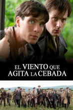 Imagen de El viento que agita la cebada - 1