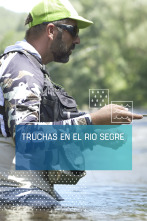 Imagen de Truchas en el río Segre - 1