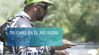 Imagen de Truchas en el río Segre - 2