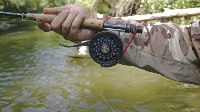 Imagen de Truchas en el río Segre - 3