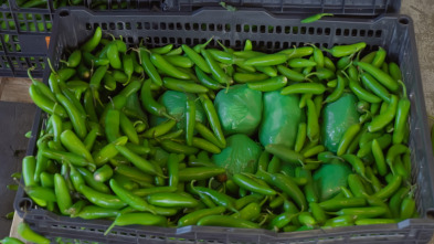 Imagen de Control de...: Meta Hot Chili Peppers - 1