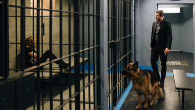 Imagen de Hudson y Rex (T1): Ep.12 Una educación de culto - 2