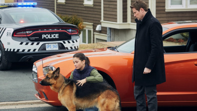 Imagen de Hudson y Rex (T1): Ep.12 Una educación de culto - 4