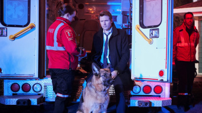 Imagen de Hudson y Rex (T1): Ep.13 Los expedientes de Rex - 2