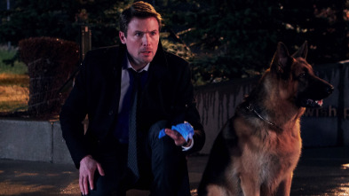 Imagen de Hudson y Rex (T1): Ep.13 Los expedientes de Rex - 4