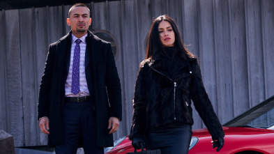 Imagen de Hudson y Rex (T1): Ep.14 Un hombre importante - 4