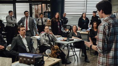 Imagen de Hudson y Rex (T1): Ep.16 Justicia Ciega - 3