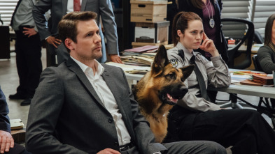 Imagen de Hudson y Rex (T1): Ep.16 Justicia Ciega - 4