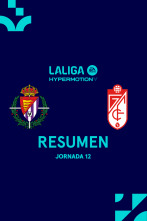 Imagen de Jornada 12: Valladolid - Granada - 1