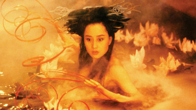 Imagen de Una historia china de fantasmas III - 3