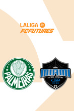 Imagen de Cuartos de final: Palmeiras - Miami Rush - 1