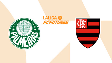 Imagen de Semifinales: Palmeiras - Flamengo - 2