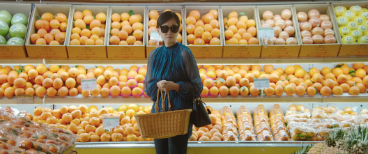 Imagen de Breve historia de una familia - 4