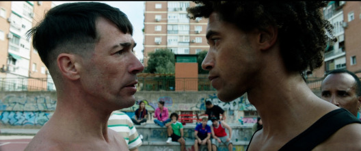 Imagen de Polígono X - 3