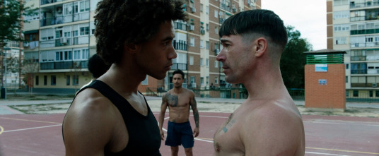 Imagen de Polígono X - 8