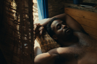 Imagen de Plancton - 3