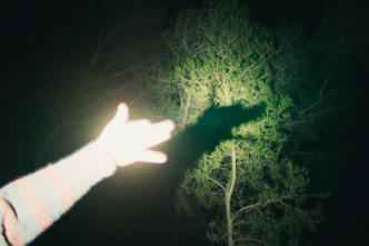 Imagen de Plancton - 5