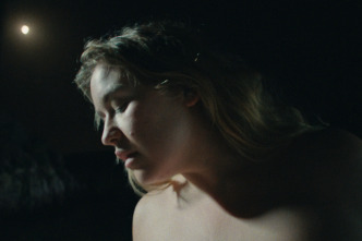 Imagen de Plancton - 6