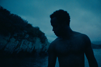 Imagen de Plancton - 10