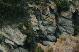 Imagen de Plancton - 12