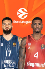 Imagen de Jornada 11: Efes - Bayern de Munich - 3