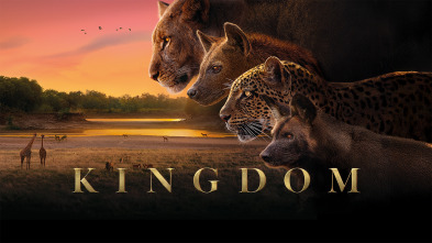 Imagen de Kingdom  - 2