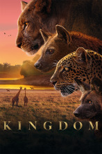Imagen de Kingdom  - 1