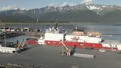 Imagen de Los desafíos del Ártico  - 6