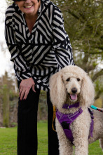 Imagen de The Dog House (T6): Ep.1 - 1