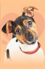 Imagen de The Dog House (T6): Ep.6 - 1