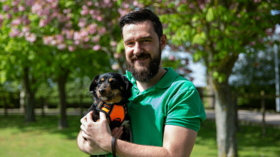 Imagen de The Dog House (T6): Ep.8 - 2