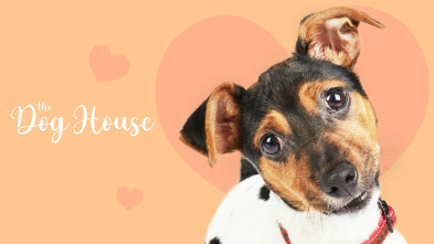 Imagen de The Dog House (T6) - 2