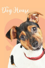 Imagen de The Dog House (T6) - 1