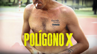 Imagen de Polígono X - 2