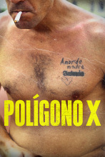 Imagen de Polígono X - 1