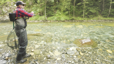 Imagen de Lances en el río Ara - 3