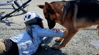 Imagen de Hudson y Rex (T2): Ep.3 Bajo La Influencer - 5